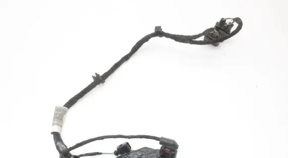 Audi A6 S6 C8 4K Other wiring loom 4K0971769A