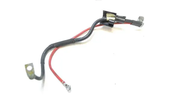 Positive wiring loom