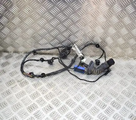Other wiring loom