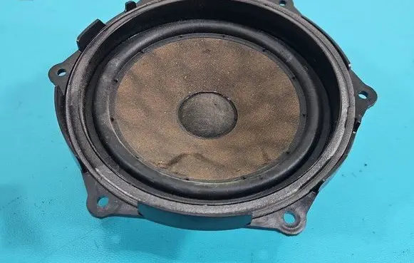 Front door speaker