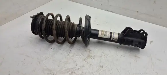 Opel Combo D Front shock absorber with coil spring 315372