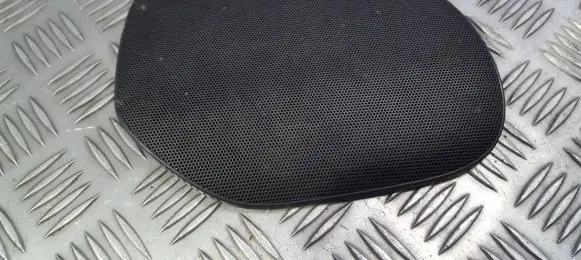 Side speaker trim/cover
