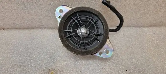 Panel speaker