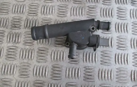 Thermostat/thermostat housing