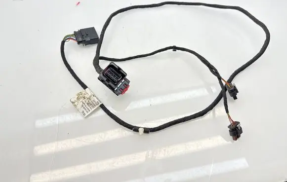 Volkswagen Golf VIII Other wiring loom 5WA971014