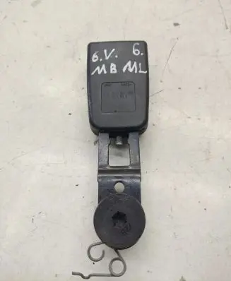 Middle seatbelt buckle (rear)