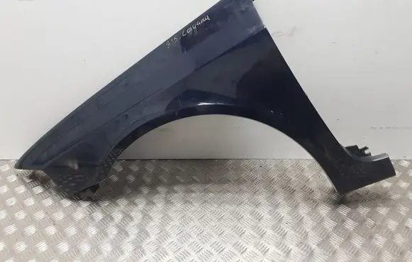 Renault Laguna II Fender