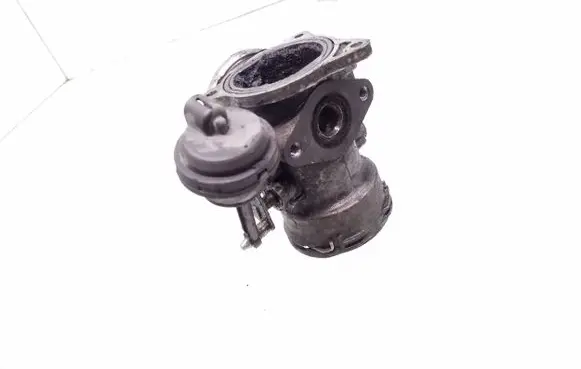 Seat Alhambra (Mk1) EGR valve 038131501AL 038129637L
