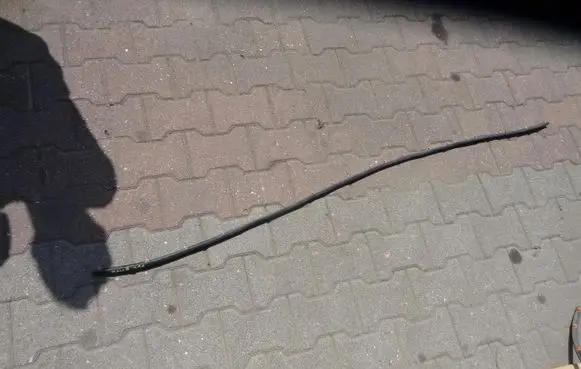 Nissan Qashqai Engine compartment rubber 