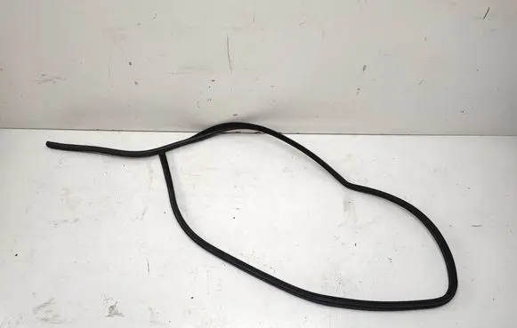 BMW 3 E90 E91 Front door rubber seal 7060287