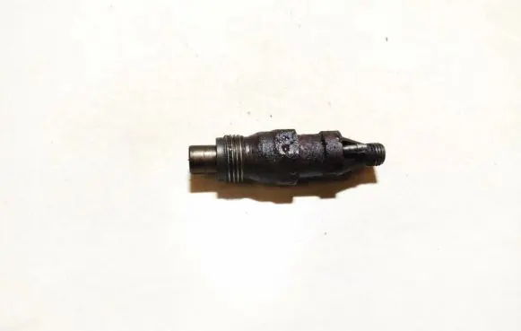Fiat Ducato Fuel injector kca17s42