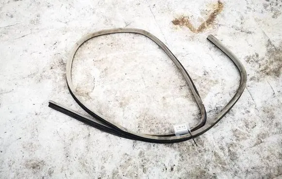 Dodge Magnum Rubber seal rear door 