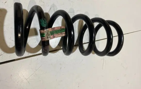 Ford Mustang VI Rear coil spring JR3C5B859UB