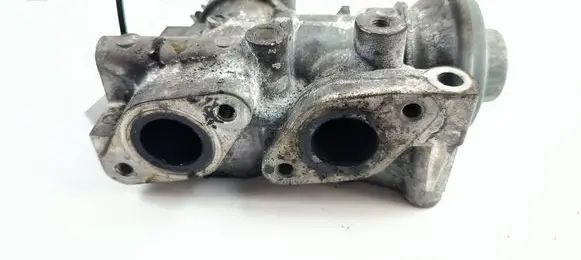 Mitsubishi Pajero EGR valve