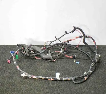 Tesla Model 3 Front door wiring loom 106796300E