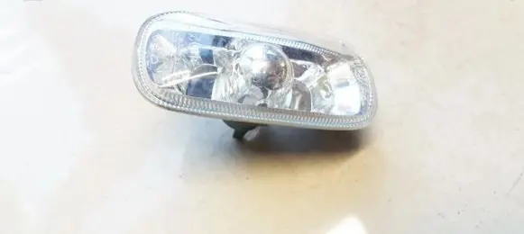 Front fender indicator light