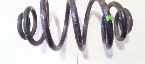 Volkswagen PASSAT B5.5 Rear coil spring