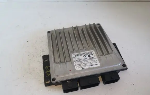 KIA Carnival Engine control unit/module 391024X520