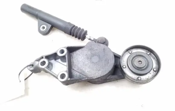 Volkswagen Bora Timing belt/chain tensioner 