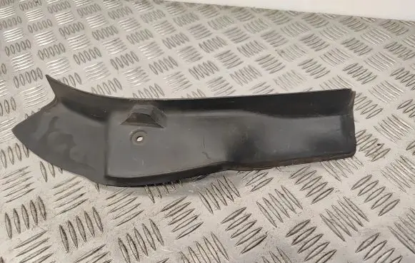 Rear/tail light trim molding