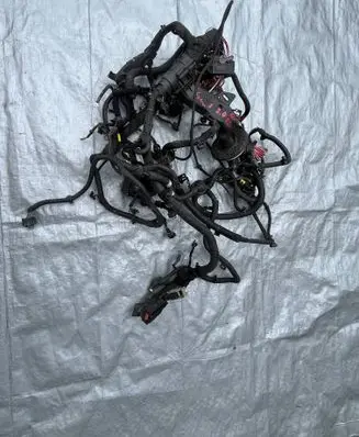 Jeep Renegade Wiring harness 