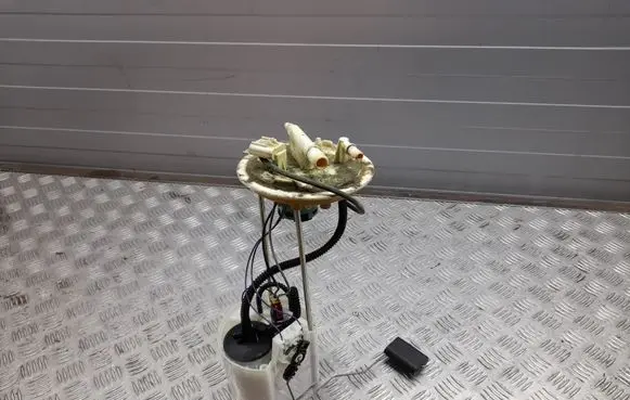 Ford F150 In-tank fuel pump FL349H307 FL3Z9H307 2851304101