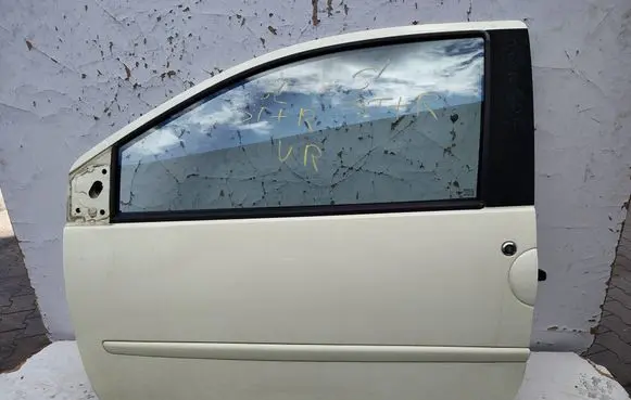 Renault Twingo II Front door 