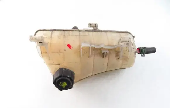 Renault Kangoo II Coolant expansion tank/reservoir 8200455786