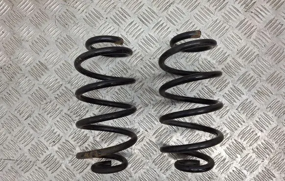 Nissan Juke I F15 Rear coil spring 550201KA1D