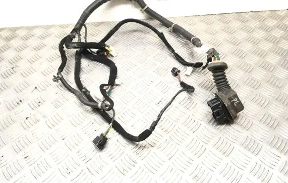 Hyundai Santa Fe Front door wiring loom/harness boot 9181026101