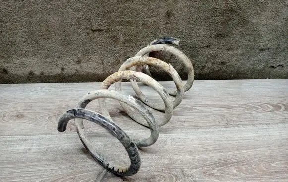 Volvo S60 Rear coil spring