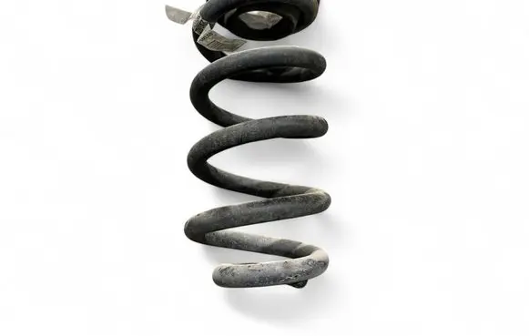 Rear coil spring
