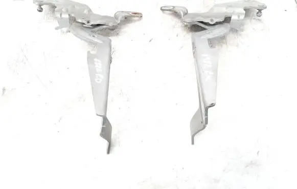 Renault Espace - Grand espace IV Engine bonnet/hood hinges 8200011693 TEA19