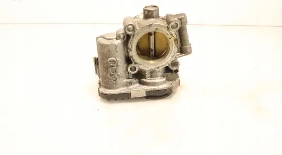Throttle body valve