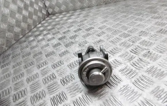 Volkswagen Polo IV 9N3 EGR valve 045131501F