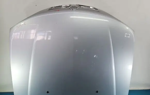 Engine bonnet/hood