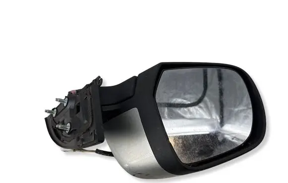 Nissan Leaf I (ZE0) Front door electric wing mirror E11028058