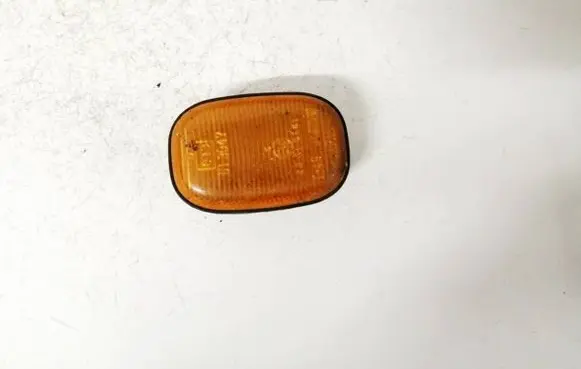 Front fender indicator light