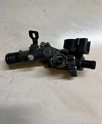 Thermostat/thermostat housing