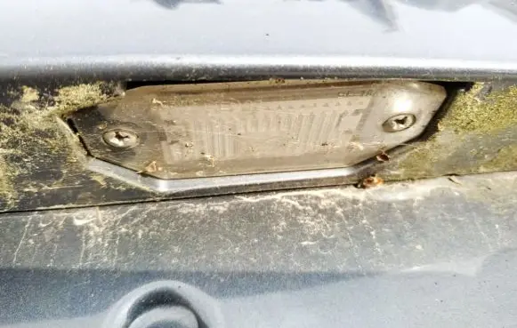 Number plate light