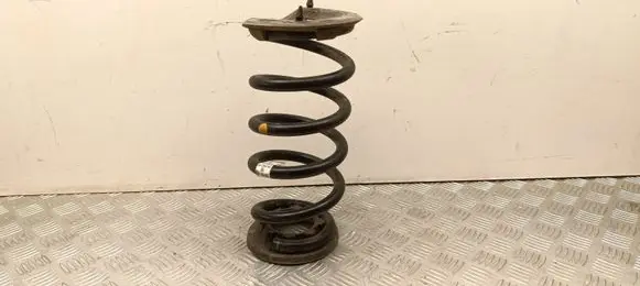 Tesla Model Y Rear coil spring 118847600B