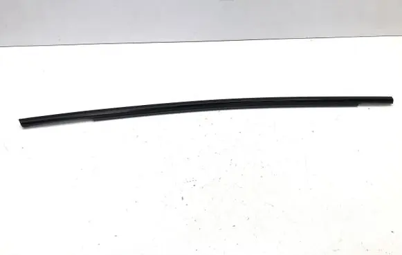 Ford Mustang Mach-E Rear door glass trim molding LJ8BR20562AD