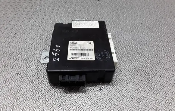 KIA Sorento Other control units/modules 954003E210