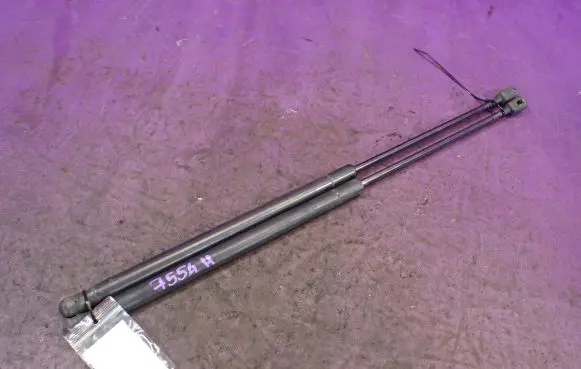 Tailgate strut