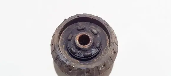 Coil spring mount