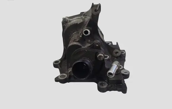 Nissan Juke I F15 Water pump 038146