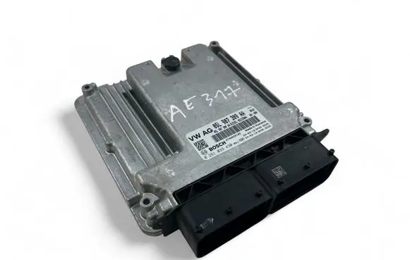 Engine control unit/module ECU