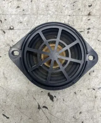 Panel speaker