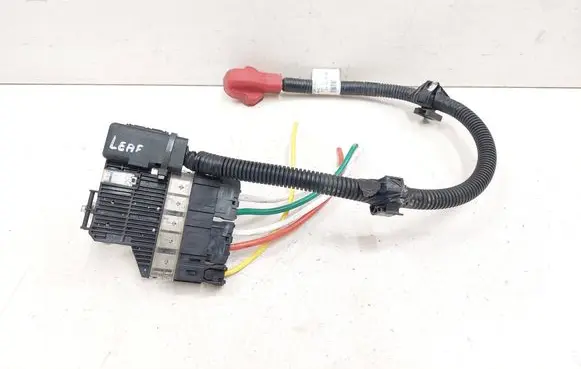 Nissan Leaf I (ZE0) Other wiring loom 241053L0A2