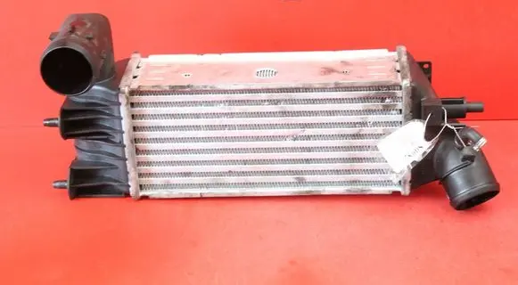 Peugeot 607 Intercooler radiator DAC005TT
